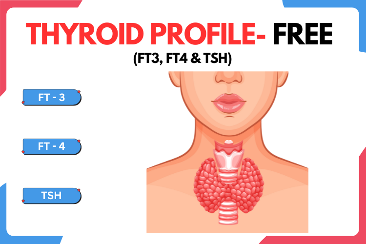 Thyroid panel - Free (FT3, FT4, TSH Ultra-Sensitive)