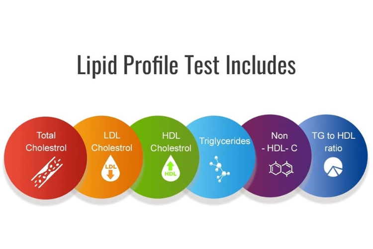 H3 Viral marker Profile by CLIA - Serum ( HHH )