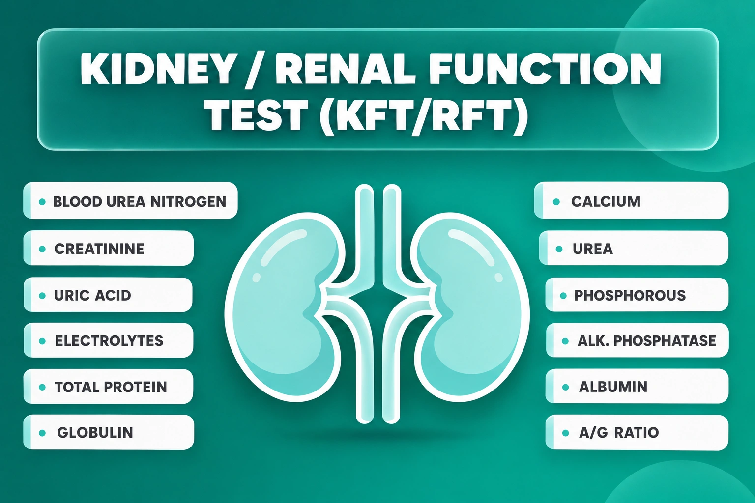 Kidney / Renal Function Test (KFT/RFT) (MAXI)